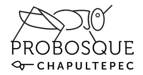 ProBosque Chapultepec